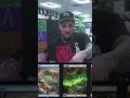 friday night magic game show @ your local game store