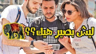 لا تركب الفيل قبل مشاهدة هذا الفيديو