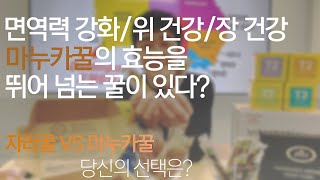 슈퍼푸드 마누카꿀VS자라꿀 효능과 가격 비교하기 | 당신의 선택은?