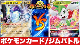 【ジムバトル】雪道ミライドン🆚アルセウスブラッキーシェイミ【ポケカ対戦】