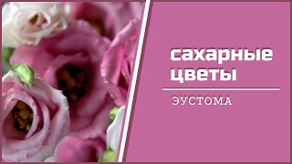 Сахарная флористика. Урок 4. Сахарная эустома #сахарныецветы #цветыизмастики #цветыизглины #мастика