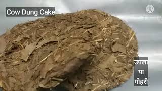 कैसे बनते हैं गोबर के उपले और इनका उपयोग/How To Make Cow Dung Cake \u0026 It's Uses/Titbit so flife7Dec21