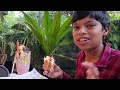 royad farm house omassery farm tourism destination mini zoo royad farm omassery kozhikode