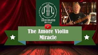 Amore Violin from Animato Strings