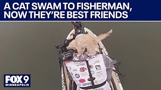 Fisherman catches cat while fishing, they become best friends