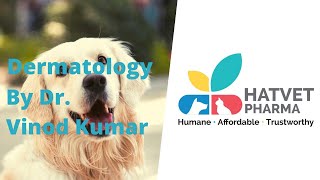 Hatvet's Webinar On Small Animal Dermatology