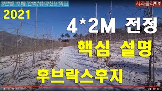 [사과재배]전정 수세에 맞게 하자ㆍ수세 쎈 3년차ㆍ 4*2M, 후브락스ㆍ썸머프린스 사과