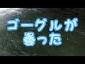 2021渓流釣り43　【気になるよね～】大淵に潜ってみたよ　ヤマメさん、一緒に泳ごうよ！