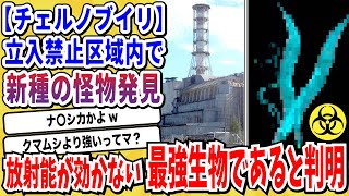 【2ch動物スレ】チェルノブイリで新たに発見された「線虫」放射線の影響を受けない最強生物であることが判明→クマムシより強いと話題にwwwww【なんj/にちゃん 面白いスレ】