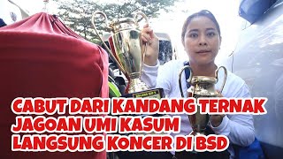 CABUT DARI KANDANG TERNAK, JAGOAN UMI KASUM LANGSUNG KONCER DI BSD