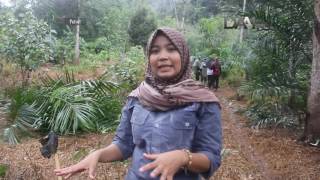 Potret DAAI TV - Di Kaki Gunung Leuser (Full)