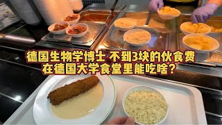 德国生物学博士不到3块的伙食费 在德国大学食堂里能吃啥？