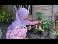 aktivitas harian irt || sesapuan teras depan & siram bunga@rumah_rahimah01