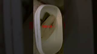 関西某自治体管理のありえない汚いトイレAn impossible dirty toilet managed by a certain Kansai local government