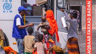 DEG DEG Aqbaar Farxad Badan Ee Ku Saabsan Dib Udejinta (Buufiska) Xeryaha Qaxootiga Dadaab