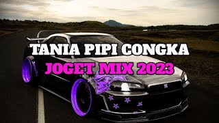 DJ JOGET TANIA PIPI CONGKA REMIX TERBARU 2023