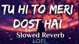 Tu Hi To Meri Dost hai [Slowed Reverb]#song#bollywood#salmankhan#love#love#trending#viral#viralvideo