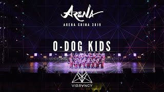 [1st Place] O-DOG | Arena China Kids 2019 [@VIBRVNCY 4K]