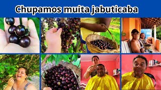 COLHENDO JABUTICABA E APROVEITANDO DEBAIXO DO PÉ / CORTEI O CABELO DELES.