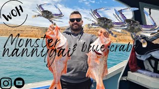 CATCHING MONSTER NANNYGAI AND BLUE SWIMMER CRABS - South Australia - We're on here adventures