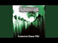 Third World Genocide (Extreme Noise Terror Cover)