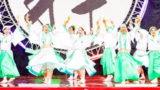 [4K] 富山GRN公式よさこいチームみんと　富山のよさこい祭り 2024 日曜日 (中央)