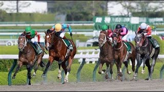 第２８回　アンタレスステークス （ＧⅢ）　プロミストウォリア　牡６　59　鮫島克駿　2023.4.16　　出走馬：ヴァンヤール、キングズソード、パワーブローキング、カフジオクタゴン、ケイアイパープル他