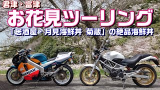 【#123】君津・富津 お花見ツーリング！ お昼は君津の「居酒屋・月見海鮮丼　菊蔵」でランチ！【VTR＆NSR】