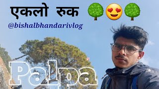 Way To Eklo Ruk 🌳 @bishalbhandarivlog #palpa #motovlog #vlog #nepal