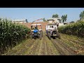 silage making corn silage fimaks gill dairy farm zira