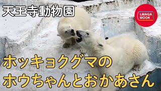 【関西 みんなの動物園と水族館】天王寺動物園・ホッキョクグマのホウちゃんとおかあさん