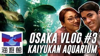 OSAKA VLOG #3 | Kaiyukan Aquarium