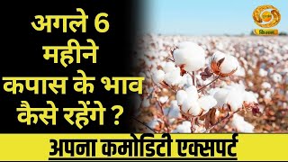 Apna Commodity Expert | अगले 6 महीने कपास के भाव कैसे रहेंगे ?  | KAPAS | Farmer News | DD Kisan