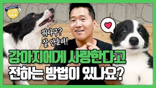 [Eng sub] 강아지에게 사랑한다고 전하는 방법이 있나요?｜강형욱의 소소한 Q\u0026A