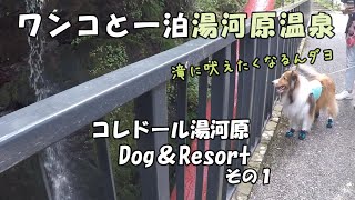 ワンコと一泊　湯河原温泉　コレドール湯河原Dog＆Resort　その１