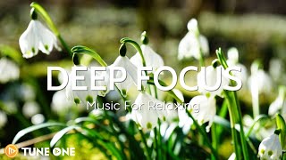 Beech Tree - Relaxing Piano Music - Music For Meditation, Healing, Study, Relax