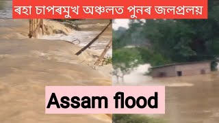 ৰহা চাপৰমুখ অঞ্চলত পুনৰ জলপ্ৰলয় । Assam flood