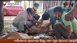 ଦୁଇଟି ଗୋରୁ ବୋଝେଇ ଟ୍ରକ ଜବତ, 6ଅଟକ  || SN_NEWS