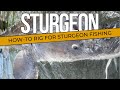 How to Rig for Sturgeon Fishing