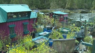 Freedom Cove: B.C. couple lives on nature-inspired floating island