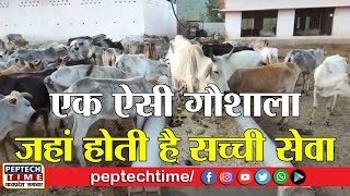 सतना- एक ऐसी गौशाला जहां होती है सच्ची सेवा