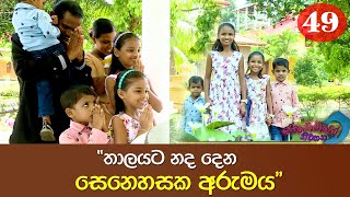 තාලයට නද දෙන සෙනෙහසේ අරුමය | Senehase Niwahana 49