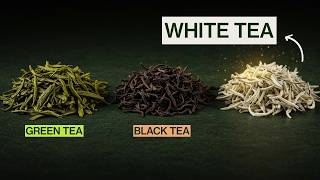 What is White Tea? Comparing Silver Needle, Bai Mu Dan, Shou Mei and Gong Mei White Tea
