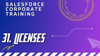 31. Licenses in Salesforce