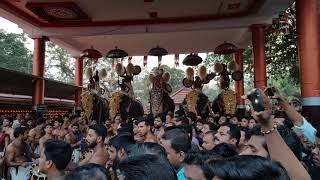 Sri Kanhilasseyi Vinod Marar at Sri Pisharikavu Temple, Kollam