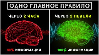 Как быстро и легко запомнить любую информацию! 5 простых способов учиться быстрее и эффективнее!