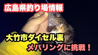 メバリング　広島県　釣り場情報　大竹市　大竹港　ダイセル 裏　油断してたら釣れてしまった笑笑　堤防