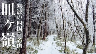 【登山】寒波の皿ヶ嶺 四国百名山