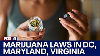 Marijuana laws in D.C., Maryland, Virginia: What you need to know | FOX 5's In The Courts