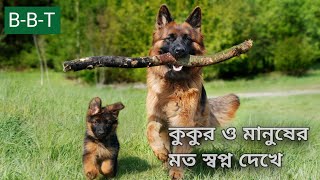 কুকুর সম্পর্কে অজানা তথ্য । facts about dogs।  Dogs।  Bivinno Bissoy Totho